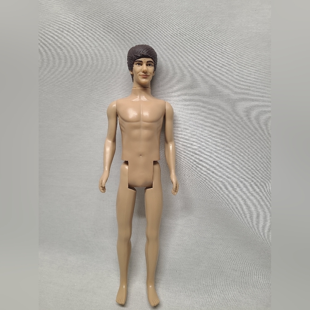 Hasbro 1D One Direction Liam Payne 12" Doll